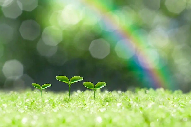 児童発達支援管理責任者/正社員