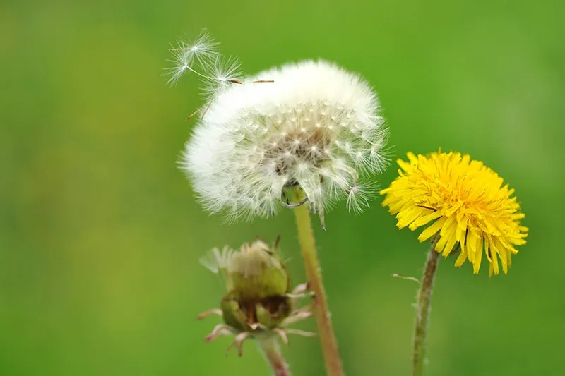 サービス管理責任者/正社員